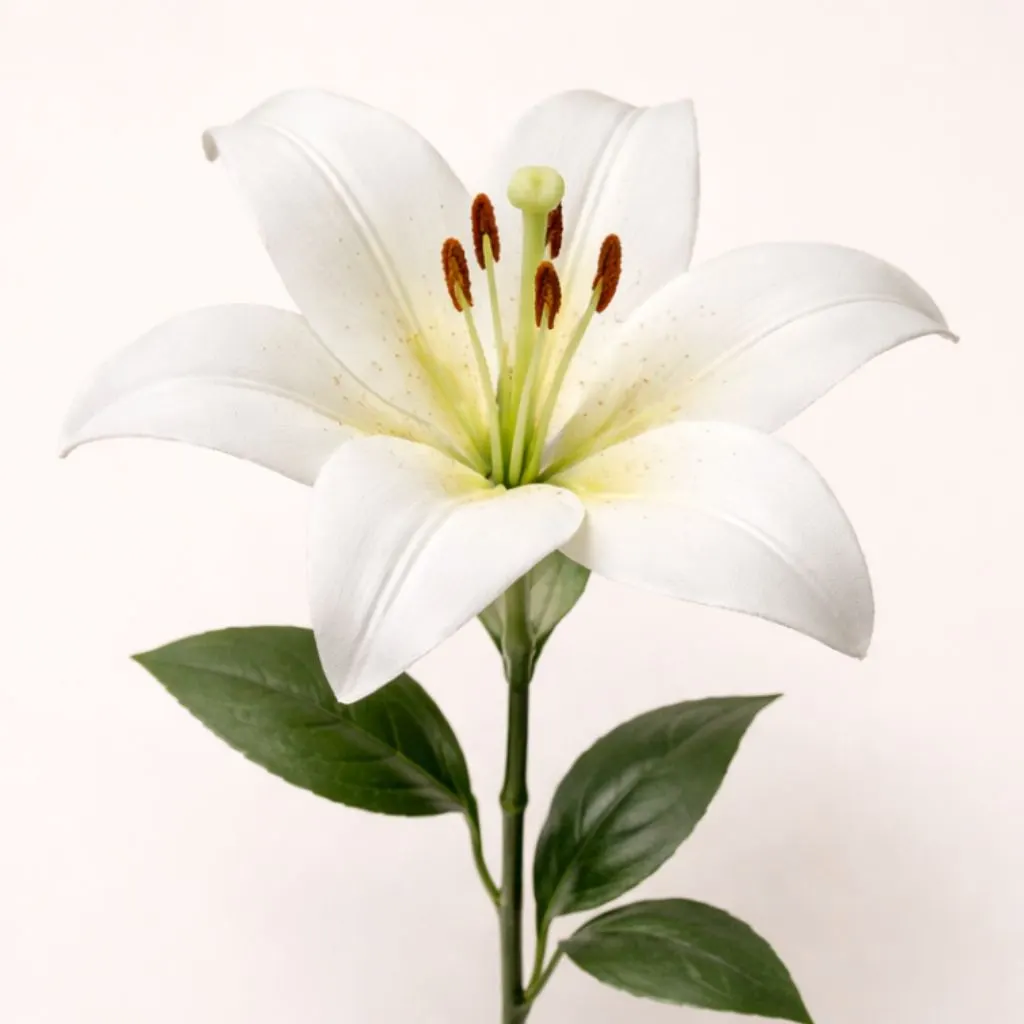 Flor de Lirio